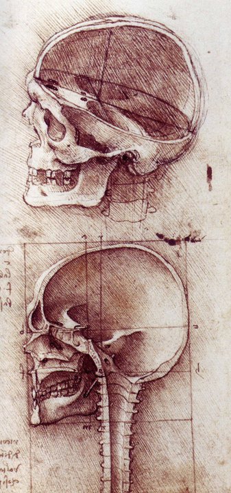 Leonardo+da+Vinci-1452-1519 (401).jpg